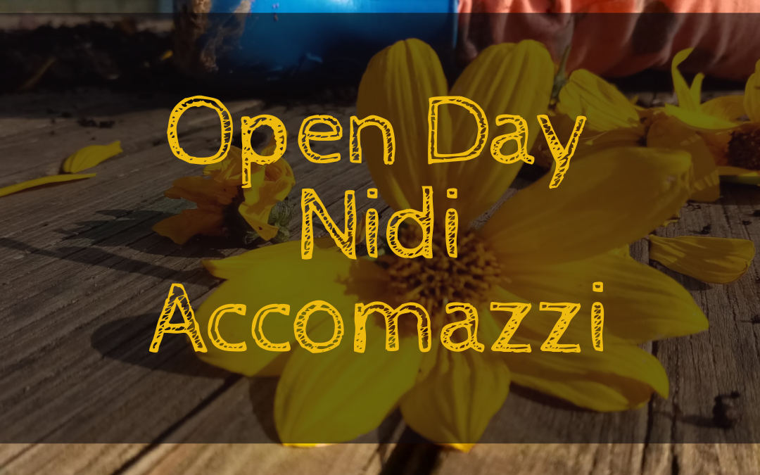 Open Day nidi Accomazzi