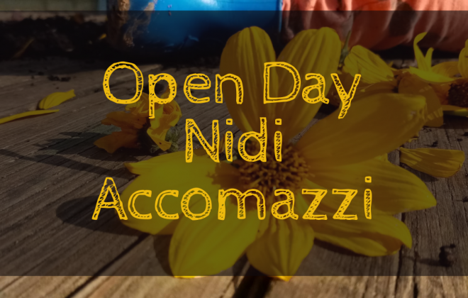 Open Day nidi Accomazzi