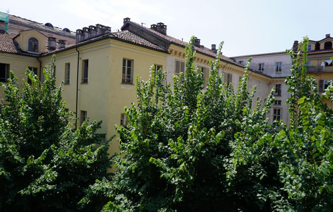 DSC01019