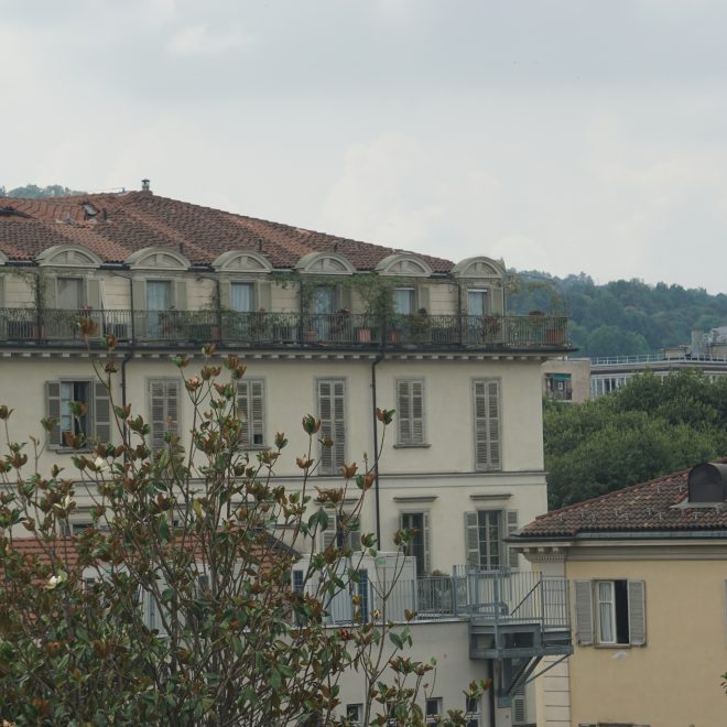 DSC00626